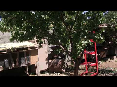 პატივი ვცეთ ერთმანეთს...არ დავივიწყოთ ჩვენი გმირები...