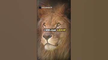 Sigma rule 😎🔥 ~ I Will Just 👿 | Motivational Quotes| #shorts #attitude #sigmarule.