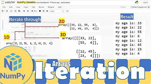 Python NumPy|Looping Through Each of the Elements in a Multi Dimensional Array|Python for Beginners