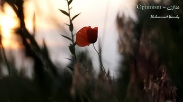 تلاوة هادئه مريحة للقلب تفيض جمالاً أرح بها بالك ومسمعك ارتاح نفسياً ⚘