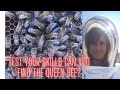 Find the queen bee