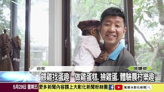 1090529 餵雞找蛋趣  做雞蛋糕 撿雞蛋 體驗農村樂趣