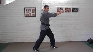Kenpo Defence Drills - Brown 03 screenshot 3