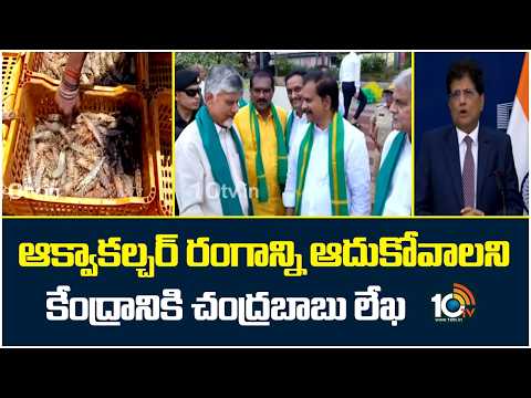 ఆక్వాకల్చర్ రంగాన్ని ఆదుకోవాలని కేంద్రానికి చంద్రబాబు లేఖ Chandrababu Writes a Letter To Center Govt - 10TVNEWSTELUGU