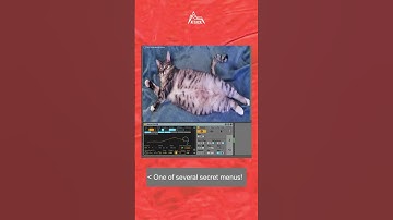 Mouth Play is really unique.. #musicproduction #musicproductiontutorial #synth #ableton