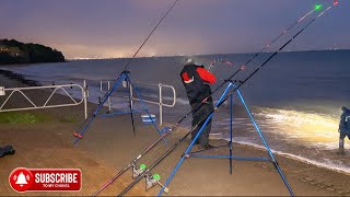 Big Night , Cracking Fish