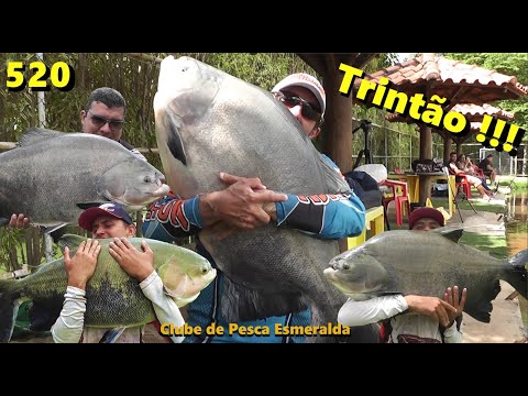 Esmeralda - Pescaria de Gigantes com Trintão nos braços - Fishingtur na TV 520