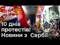 🔴 Десятий день війни за Белград: поліцейські кийки і голодний страйк. Як реагує Брюссель?