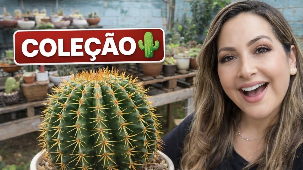 Tour pela minha coleção de cactos 🌵 | Novos cantinhos do meu jardim