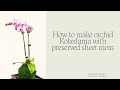 How to make orchid kokedama