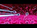 Antibiotics vs Bacteria: Ek Adbhut Jung | 3D Visualization (4K)