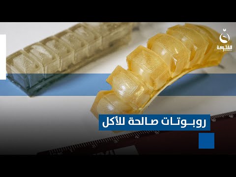 هل تخيلت يومًا أن تأكل الروبوت الذي يقدم لك الطعام؟ .. تعرفوا على الروبوتات الصالحة للأكل
