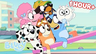 Bluey Seasons 1 and 2 FULL EPISODES  Baby Race, Movies, Ice Cream and more! | Bluey