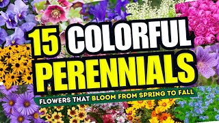 😱💖 ENDLESS BLOOMS?! 15 FLOWERS THAT JUST WON'T QUIT FROM SPRING TO FALL! 😍🌸