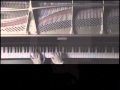 Ryuichi_Sakamoto koko