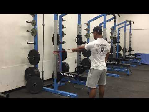 Single Arm Band Scapula Rotations