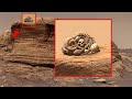 Curiosity Rover's Panoramic Cam Finds 'WEIRD' MARS LIFE! Mars in 4k
