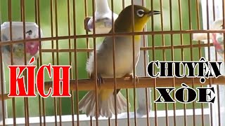 KÍCH KHUYÊN CHUYỆN XÒE  File KHUYÊN CHUYỆN / Tuấn Mi