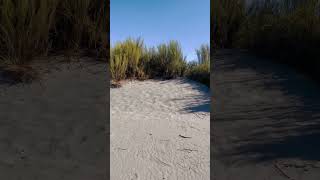 El trekking entre retamas y dunas  LA TIRANA 