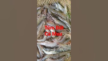 #Tôm Đất Cà Mau #Na Hồng Cà Mau