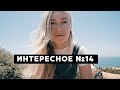 ИНТЕРЕСНОЕ #14: КНИГИ, СЕРИАЛЫ, YOUTUBE, ПРИЛОЖЕНИЯ • NOTION, ПОДСТРОЧНИК, ЛЕНА ВОЛОДИНА, FLEABAG