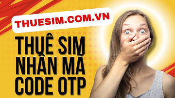 Hướng Dẫn Thuê Sim Nước Ngoài Nhận Mã OTP Xác Minh - Web Cho Thuê Sim 2024