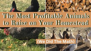 The Most Profitable Farm Animals to Raise on Your Homestead