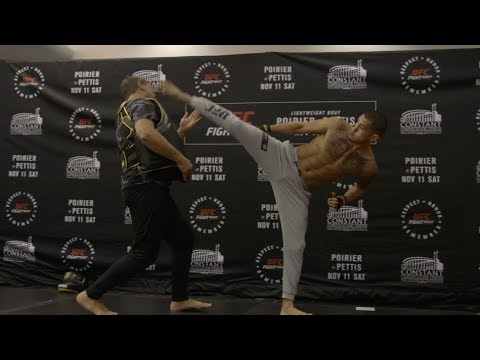 matty healy Fight Night Norfolk: Open Workout Highlights