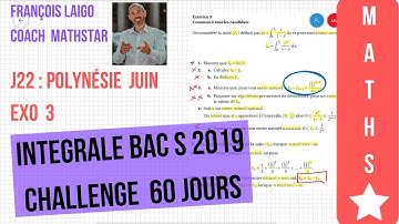 INTEGRALE BAC S 2019 MATHS - J22: Polynésie Exo 3 (Suite d