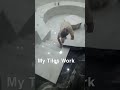 #My Tiles Work is #completed #Shorts#Viral