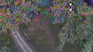 Uncut DVR : Tree powerloop
