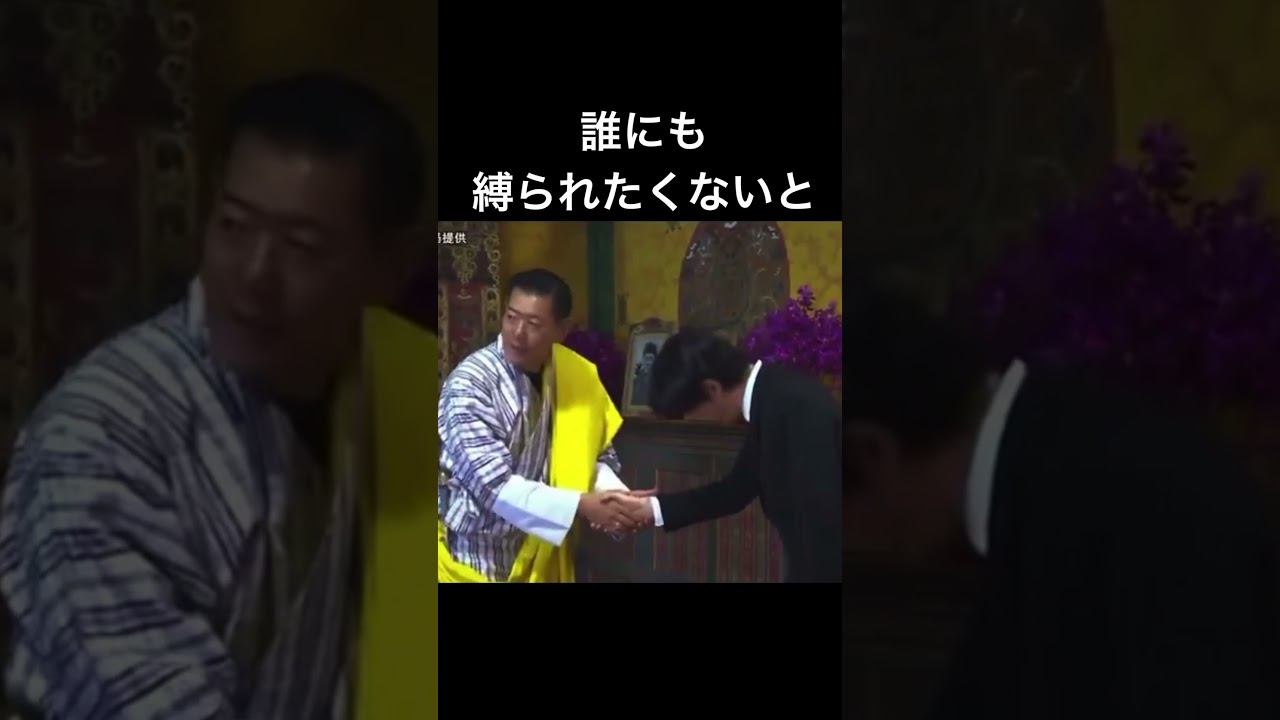【視聴者様リクエスト】キーコの夜　キーコバージョン#shorts #ショート動画#皇室 #皇族 #秋篠宮＃紀子様