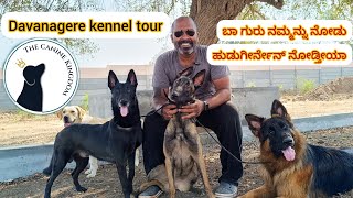 Davanagere kennel tourಬಾ ಗುರು ನಮ್ಮನ್ನ ನೋಡು ಹುಡುಗೀರ್ನೇನ್ ನೋಡ್ತೀಯಾ