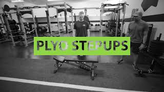 MTNTOUGH Form - PLYO STEPUPS