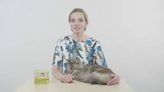Капли Профендер от глистов для кошек