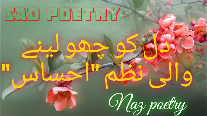 sad poetry / my nazm ""/ Naz poetry / Samina Farooq