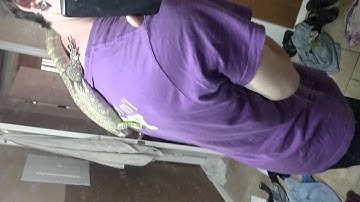 Buddy the Friendly Nile monitor handling video