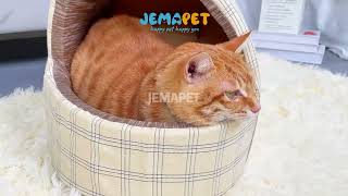 Super comfortable cat house surrounded by sponges.It can support your pet's neck and body very well~