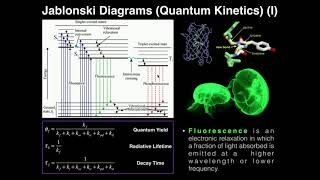 Kinetics: Quantum Yield & Jablonski Diagrams