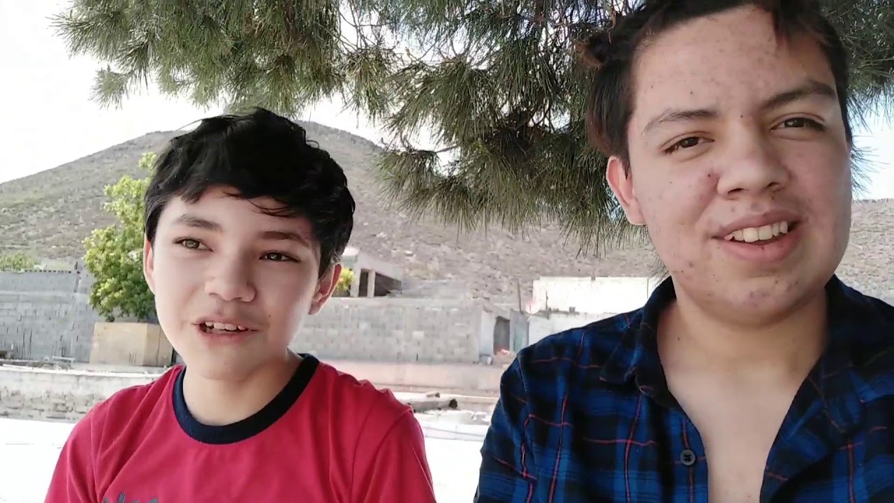 NOS HACEMOS EL CABELLO DE TIKTOKER Shawn Harris YouTube