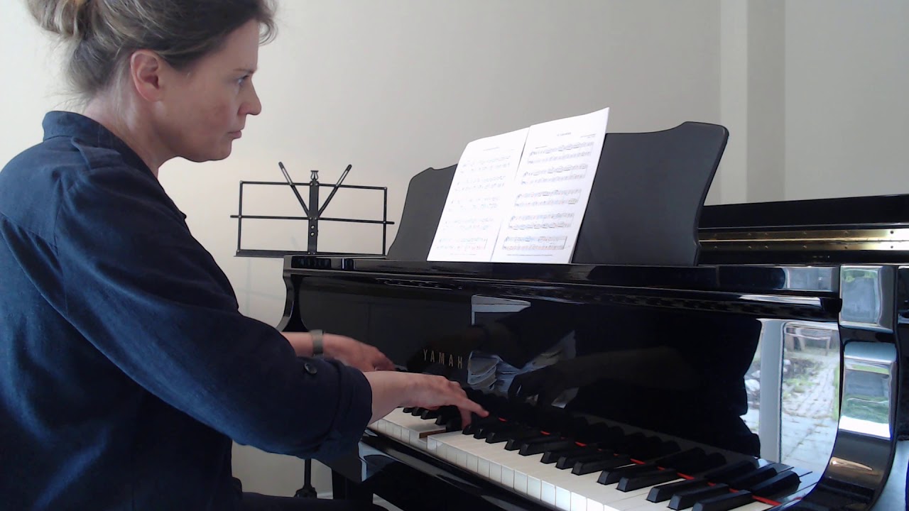 Paul Loeb van Zuilenburg:  Gavottina