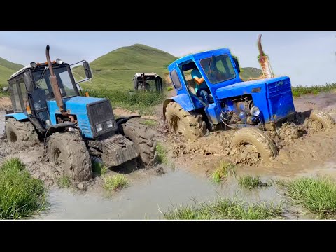 Видео: ОФФРОАД 2021 | Сравнение Тракторов | Трактор Беларус 1221 vs Трактор Т-40 мтз 82
