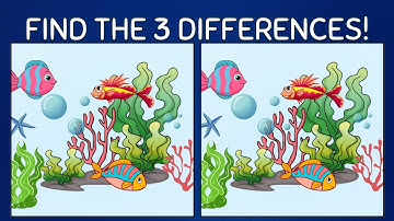 Find 3 Differences! Spot The Difference | Brain Exercise