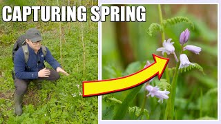 Photographing Bluebells and Other Spring Flowers - Close-up Landscape Photography in Scotland