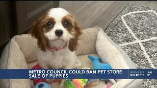 Louisville Metro councilman introduces ordinance to prohibit retail sale of dogs, cats at pet sto...