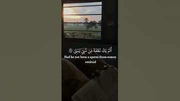 القارئ جابر القيطان / #quran #اكسبلور #راحة_نفسية #حالات_واتس #قران #لايك #قرانالكريم