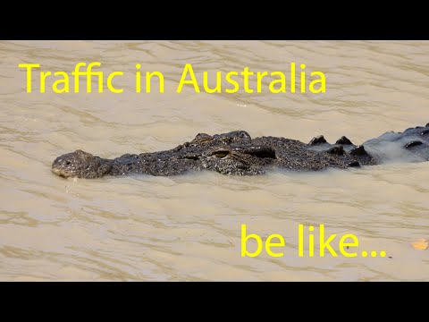 Traffic in Australia be like...