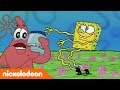 Bob Esponja Bob Medusa España Nickelodeon En Español Bob Esponja Bob Medusa España Nickelodeon En Español