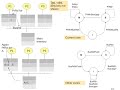Cache coherence protocol | MSI | Video 29a