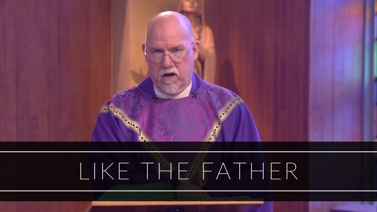 Like The Father Homily Father Paul Ring YouTube